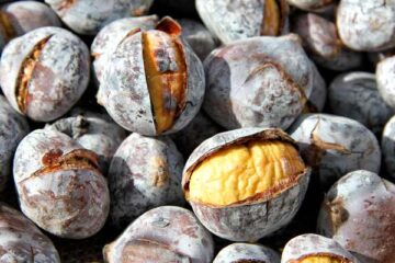 a-mburnata-2025-novi-velia-eventi-cilento