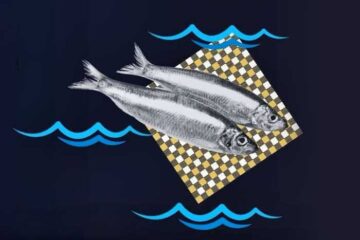 festa-del-mare-e-dei-pescatori-2026-al-porto-di-marina-di-camerota-eventi-sagre-nel-cilento-e-vallo-di-diano