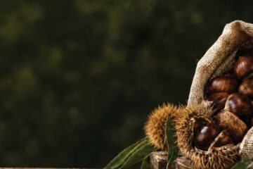 23-festa-della-castagna-a-san-rufo-2026-eventi-sagre-nel-cilento-e-vallo-di-diano