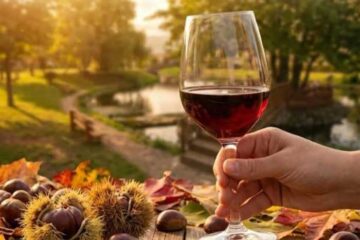Due castagne e un bicchiere di vino 2026 a Silla di Sassano