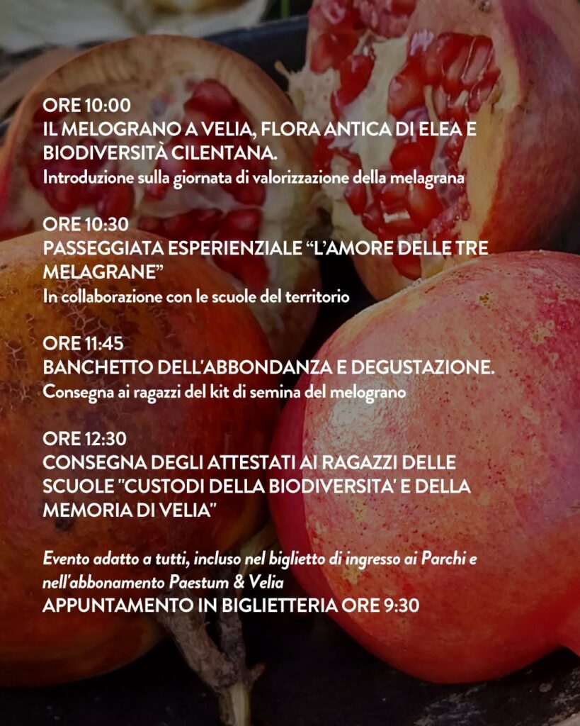 festa-della-melagrana-2026-al-parco-archeologico-di-velia-eventi-culturali-nel-cilento-e-vallo-di-diano