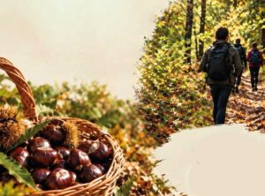 Passeggiata nel bosco a San Rufo 2026