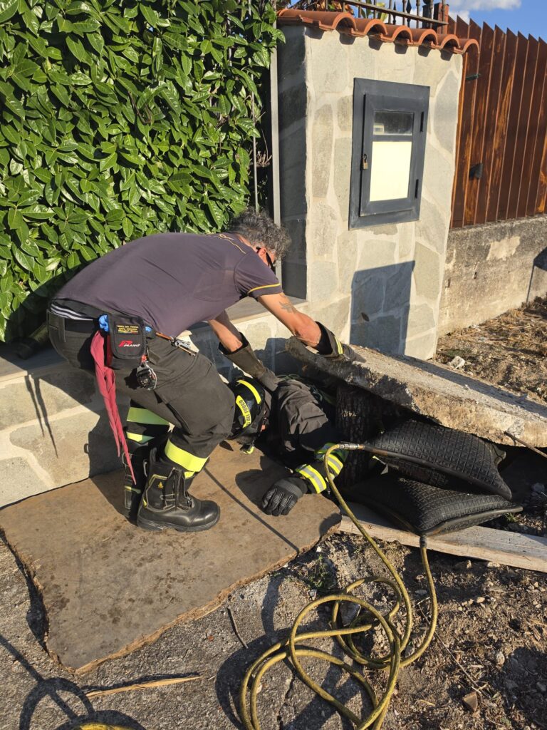 Gattino “sotterrato” durante i lavori edili, salvato a Polla