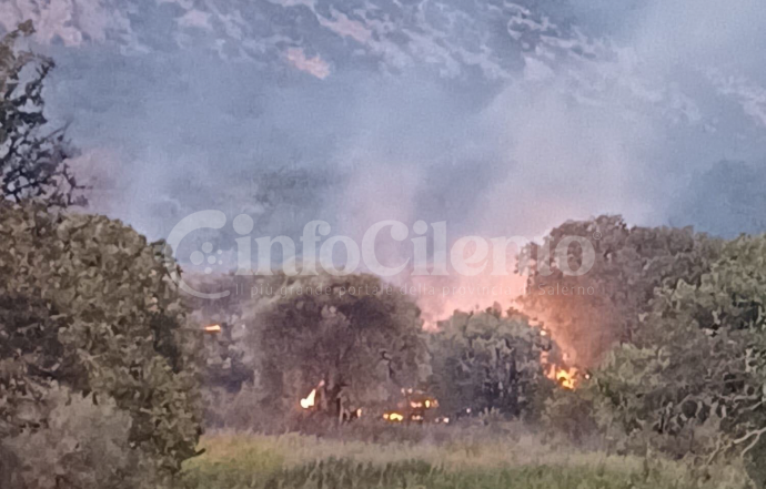 Incendio a Capaccio Paestum: fiamme nella zona rurale del Capoluogo, caschi rossi in azione