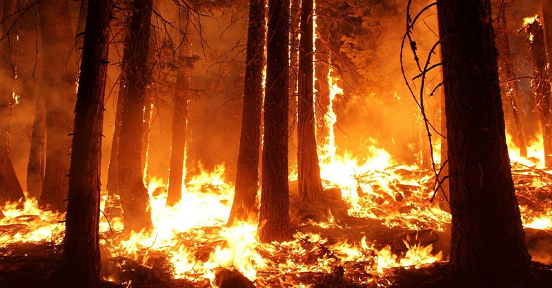 Polla: l’Amministrazione Loviso avvia il progetto di un sistema di raccolta d’acqua per l’antincendio boschivo